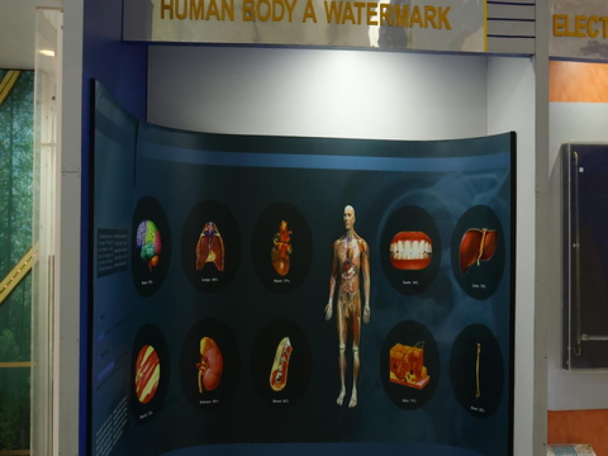 Human-Body-to-Water-Mark