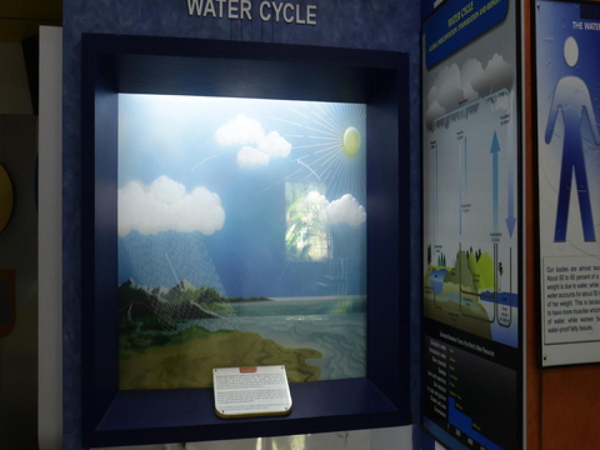 Water-Cycle